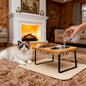 Elevated Wood Stand Cat & Dog Bowl Set