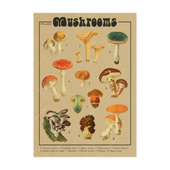 Vintage Mushroom Botanical Wall Art