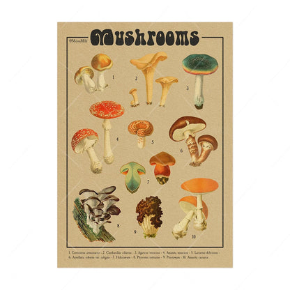 Vintage Mushroom Botanical Wall Art