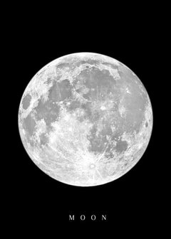 Moon Phase Canvas Wall Art Prints
