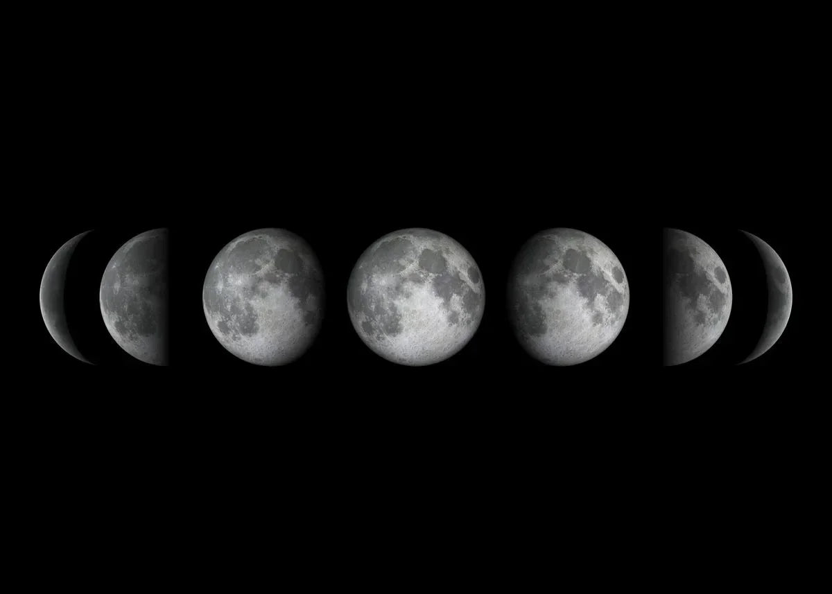 Moon Phase Canvas Wall Art Prints