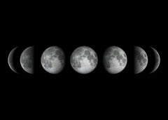 Moon Phase Canvas Wall Art Prints