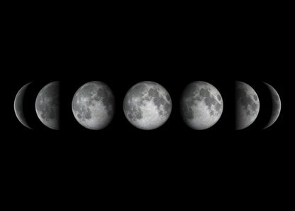 Moon Phase Canvas Wall Art Prints