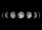 Moon Phase Canvas Wall Art Prints