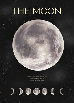 Moon Phase Canvas Wall Art Prints