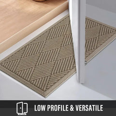 Non-Slip Entry Door Mat