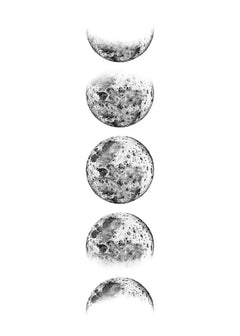 Moon Phase Canvas Wall Art Prints