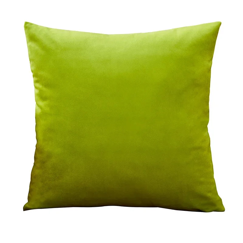 Velvet Cushion Cover