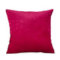 Velvet Cushion Cover