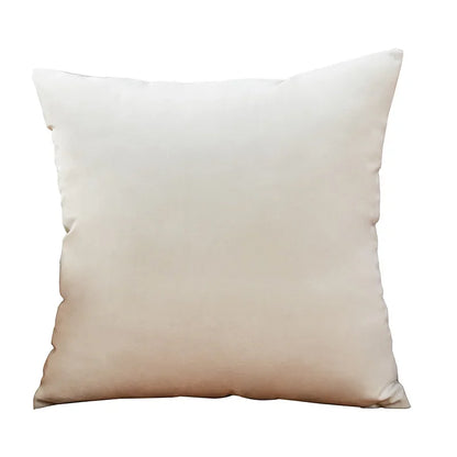 Velvet Cushion Cover