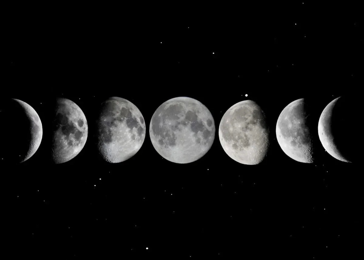 Moon Phase Canvas Wall Art Prints