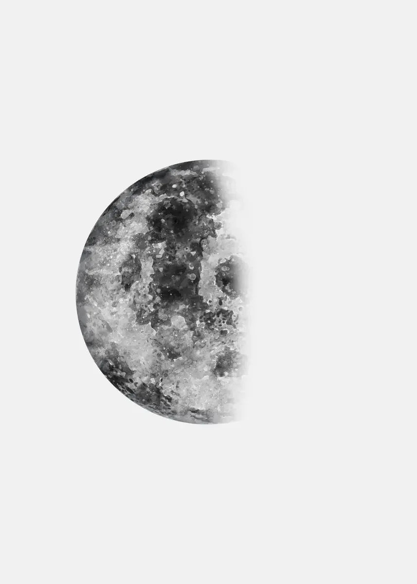 Moon Phase Canvas Wall Art Prints