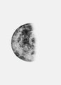 Moon Phase Canvas Wall Art Prints