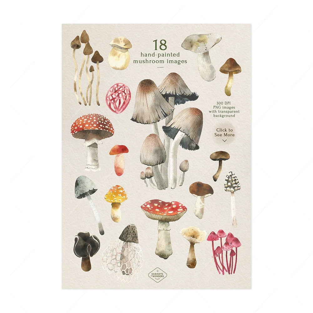 Vintage Mushroom Botanical Wall Art