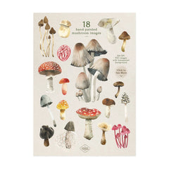 Vintage Mushroom Botanical Wall Art