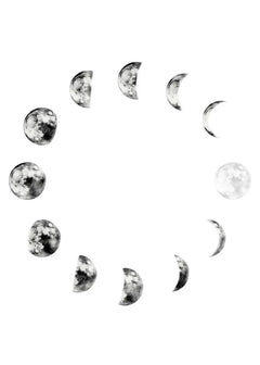 Moon Phase Canvas Wall Art Prints