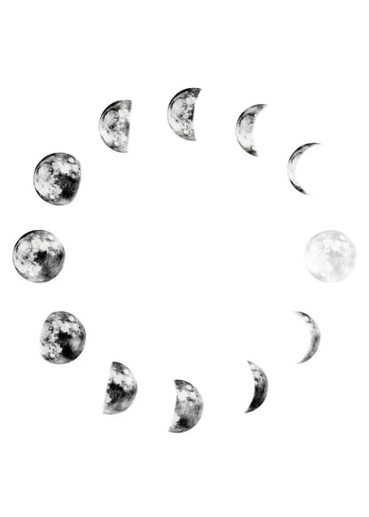 Moon Phase Canvas Wall Art Prints