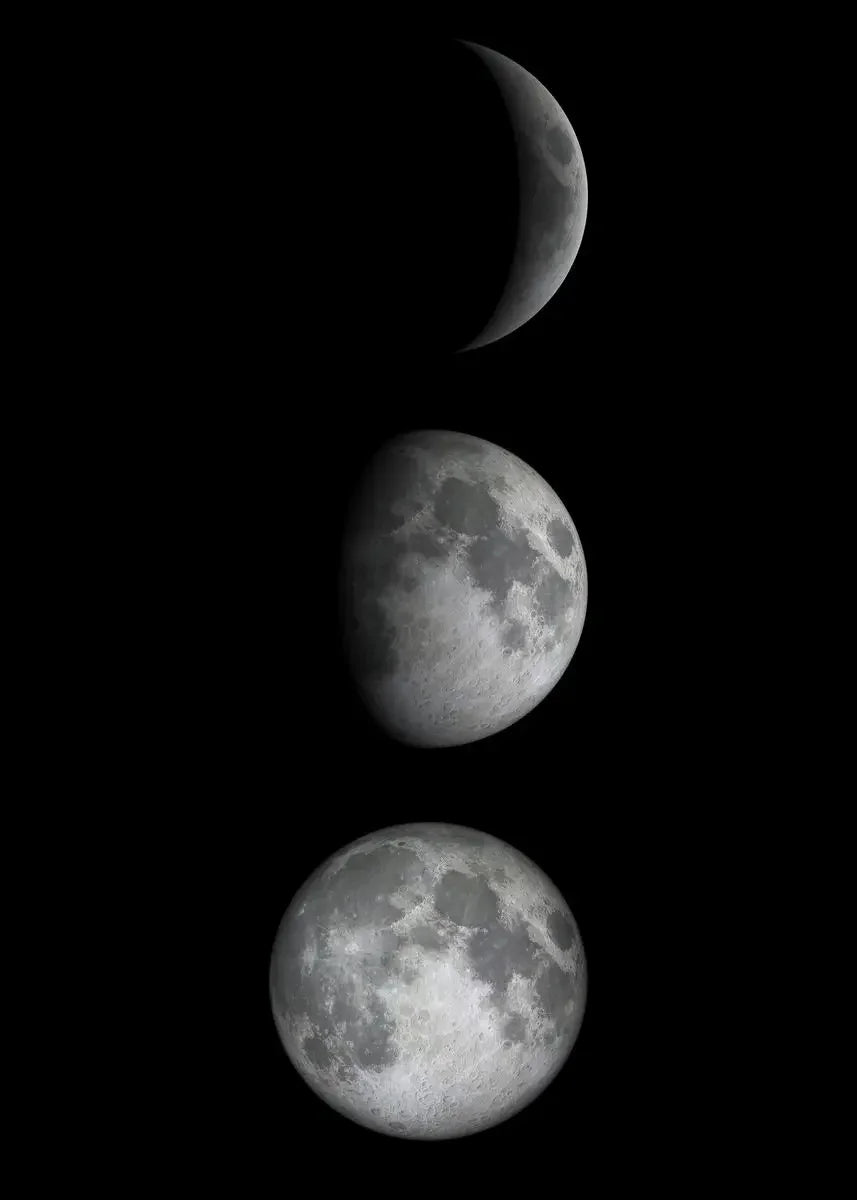 Moon Phase Canvas Wall Art Prints