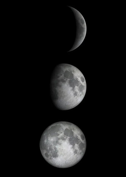 Moon Phase Canvas Wall Art Prints
