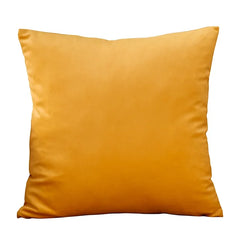 Velvet Cushion Cover