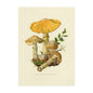 Vintage Mushroom Botanical Wall Art
