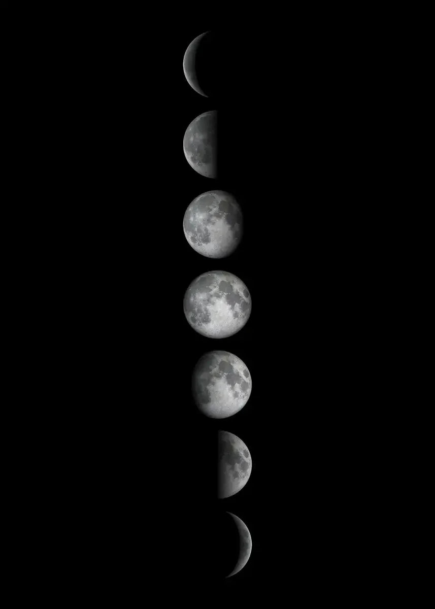 Moon Phase Canvas Wall Art Prints