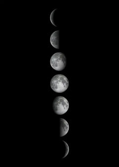 Moon Phase Canvas Wall Art Prints