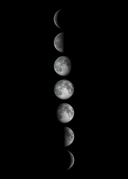 Moon Phase Canvas Wall Art Prints