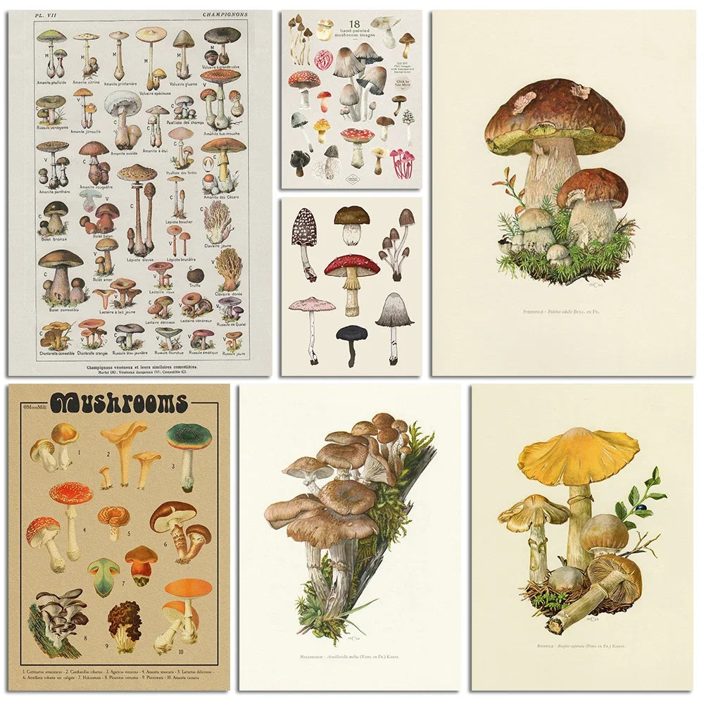 Vintage Mushroom Botanical Wall Art