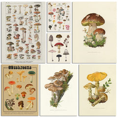 Vintage Mushroom Botanical Wall Art