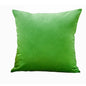 Velvet Cushion Cover