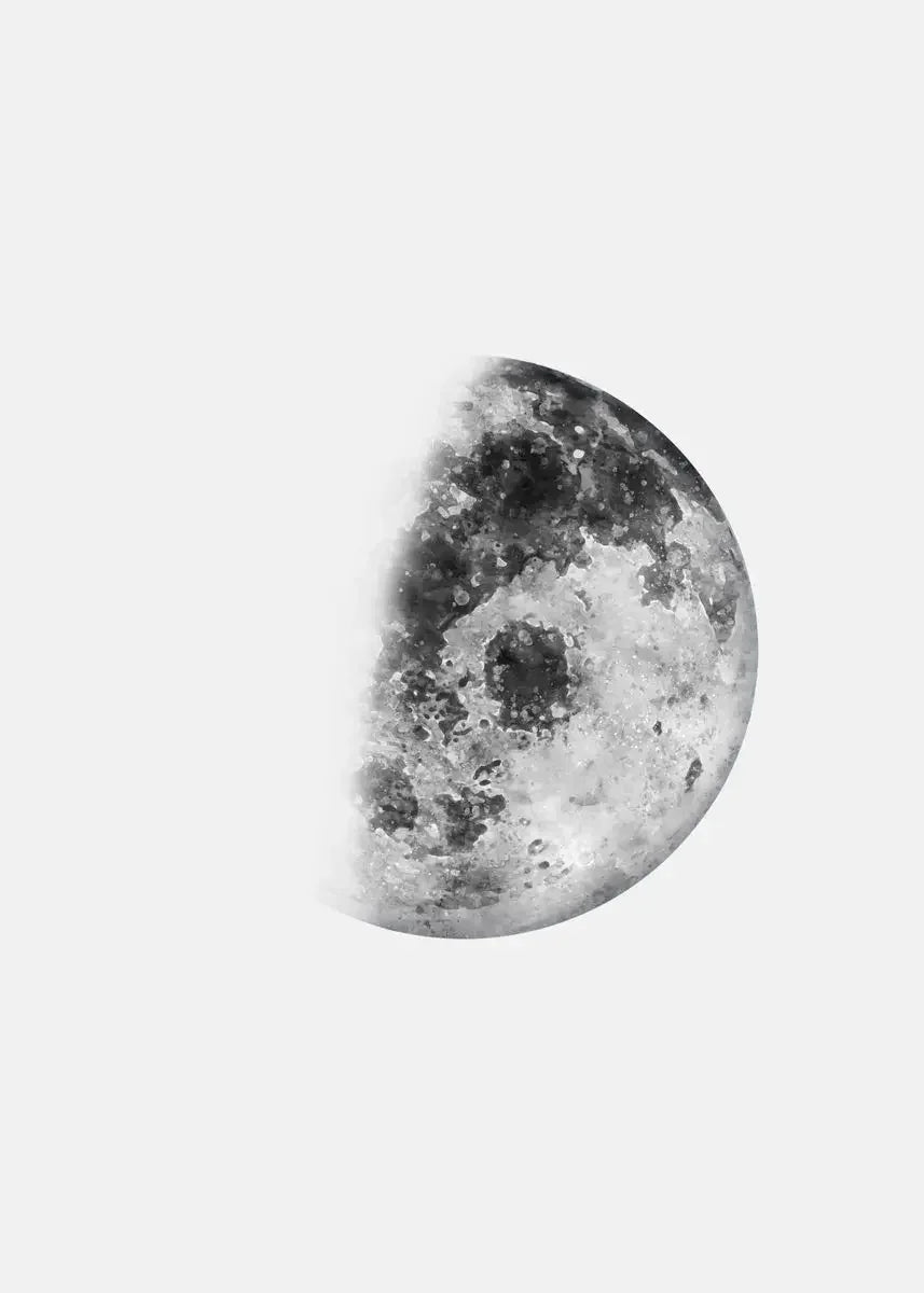 Moon Phase Canvas Wall Art Prints