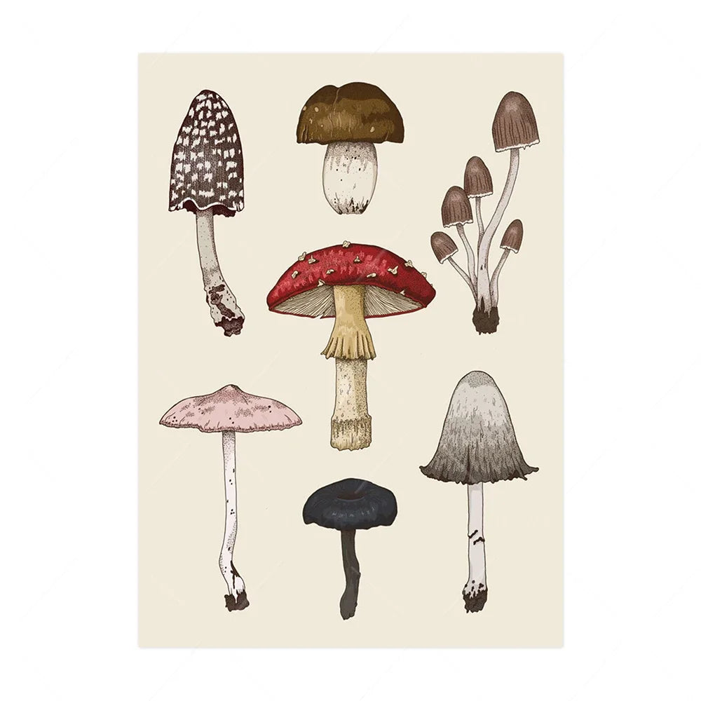 Vintage Mushroom Botanical Wall Art