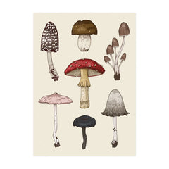 Vintage Mushroom Botanical Wall Art